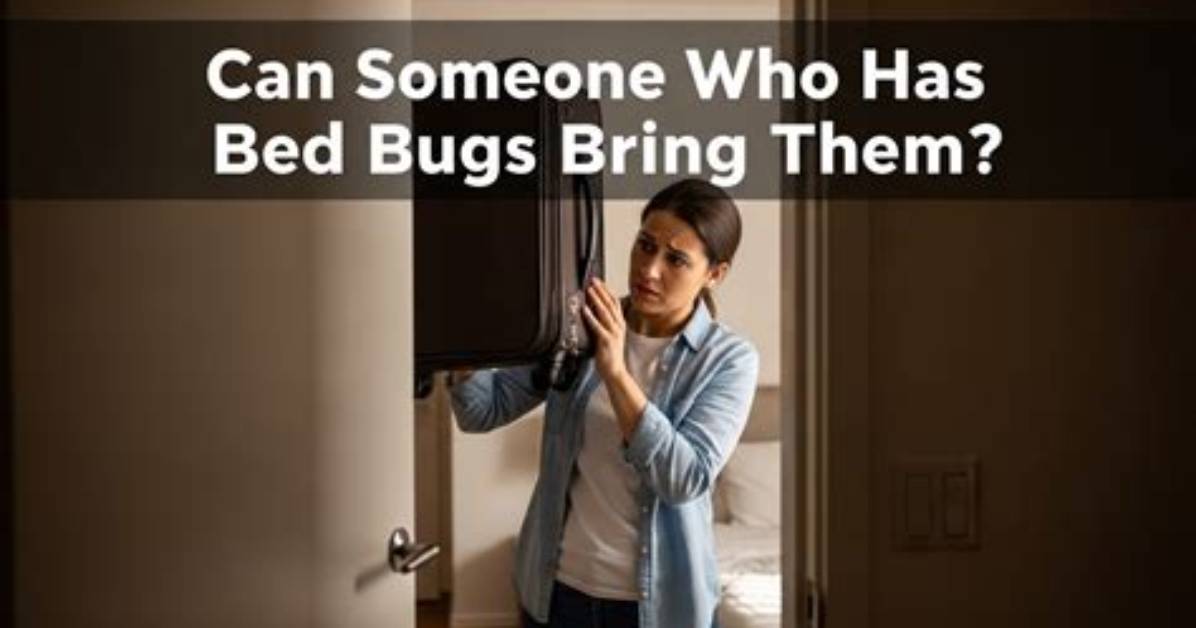 Can Visitors Bring Bed Bugs