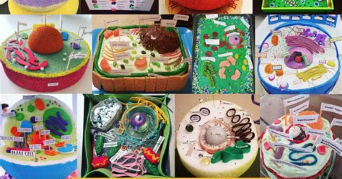 Can We Create a Cell