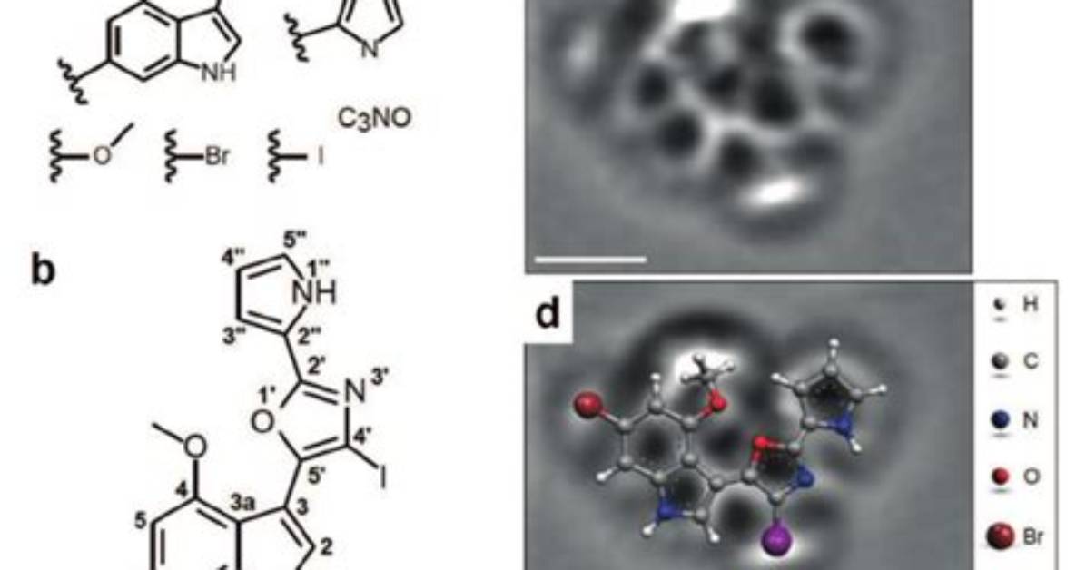 Can We See Molecule?