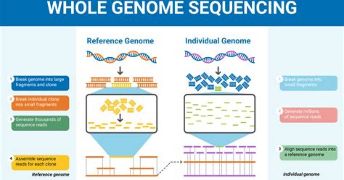 Can We Sequence Genomes?