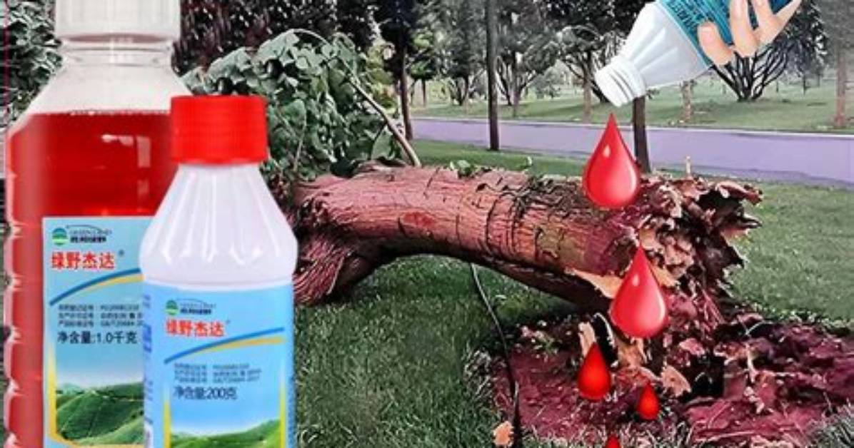 Can Weeds Kill Trees