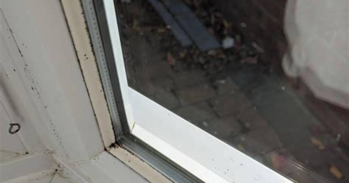 Can Window Seals Be Replaced