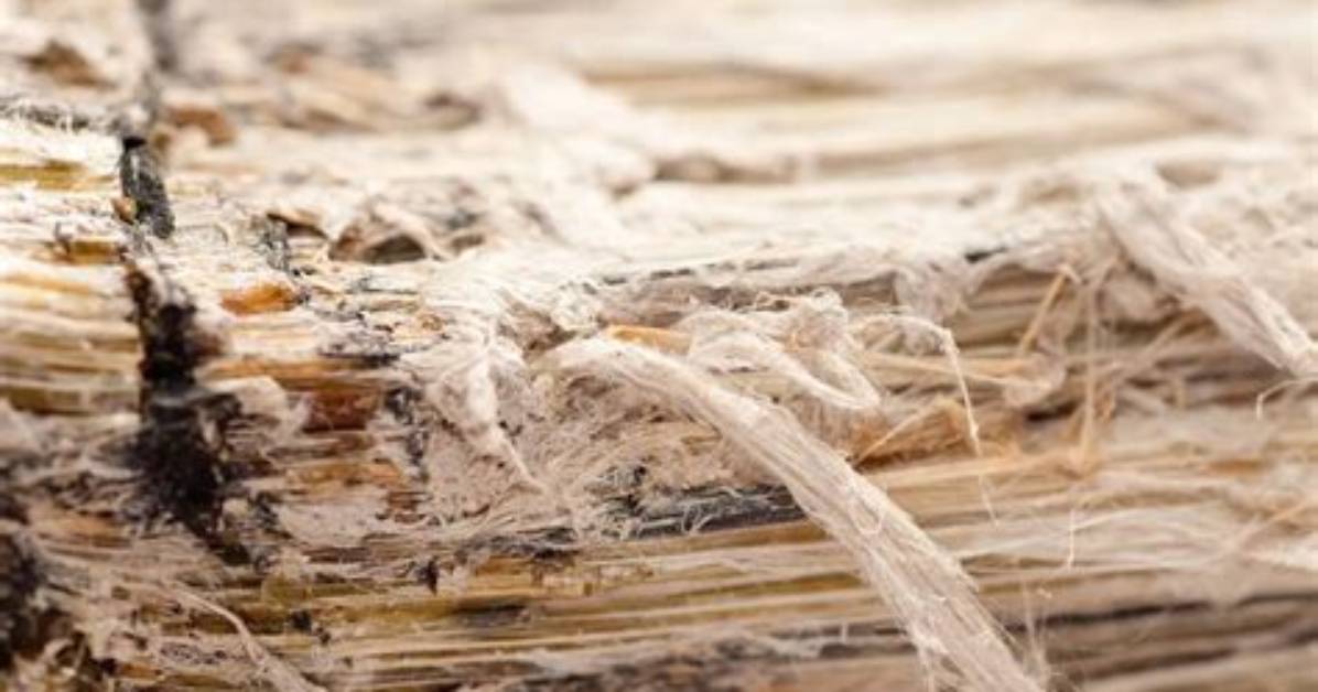 Can Wood Asbestos? | Contextresponse. Com