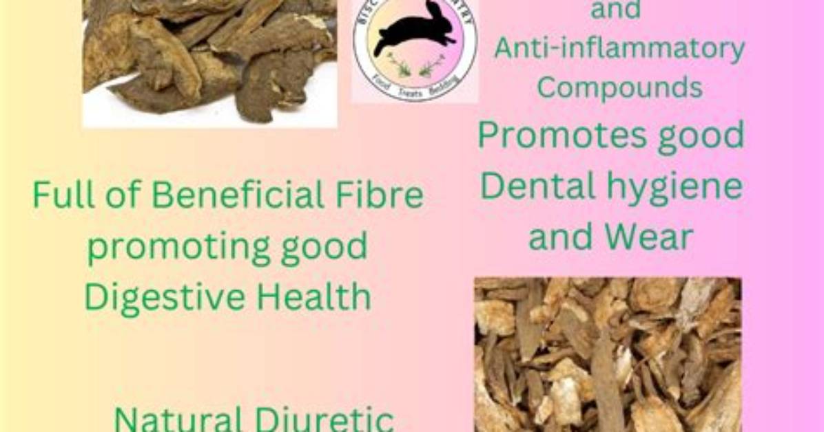 Can You Chew Burdock Root