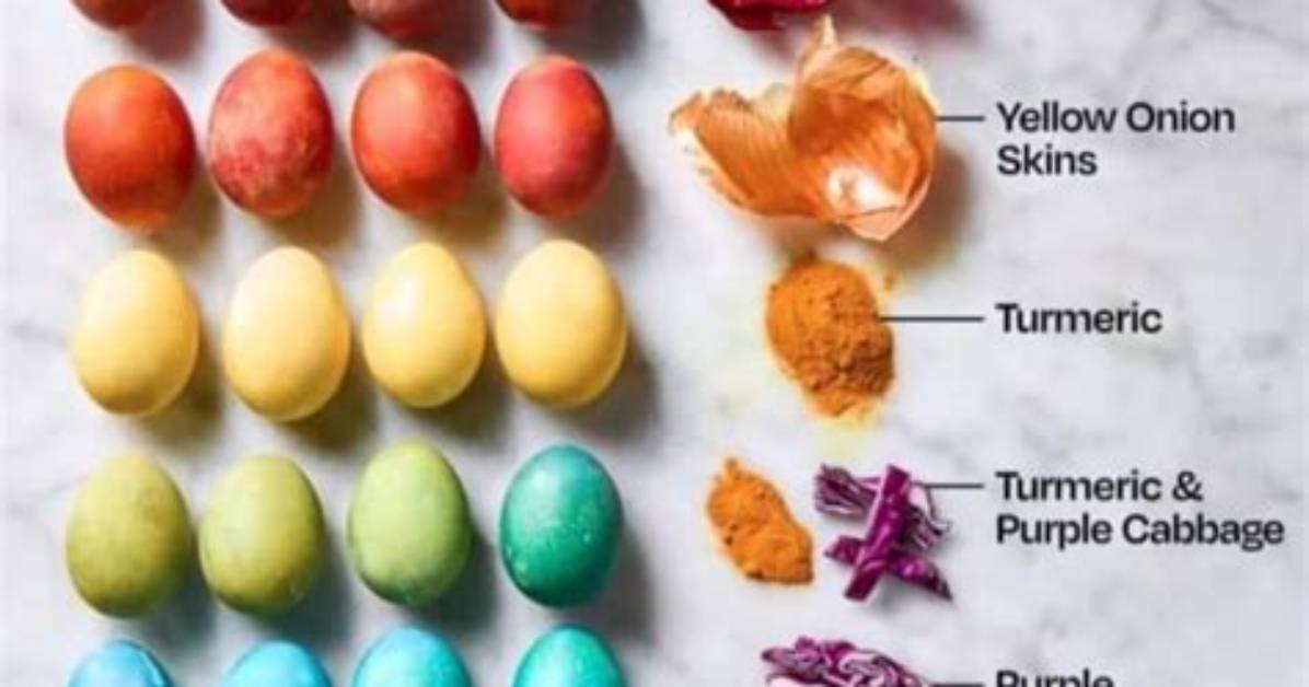 Can You Dye Raw Eggs