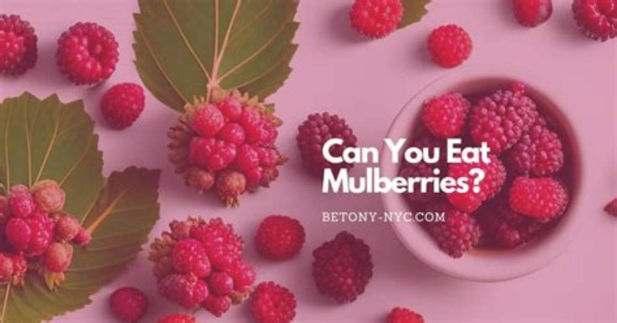Can You Eat a Mulberry?