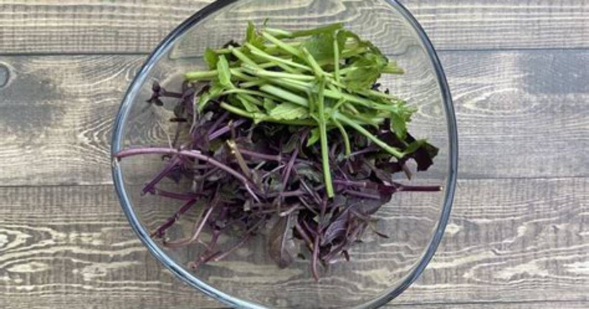 Can You Eat Basil Stems