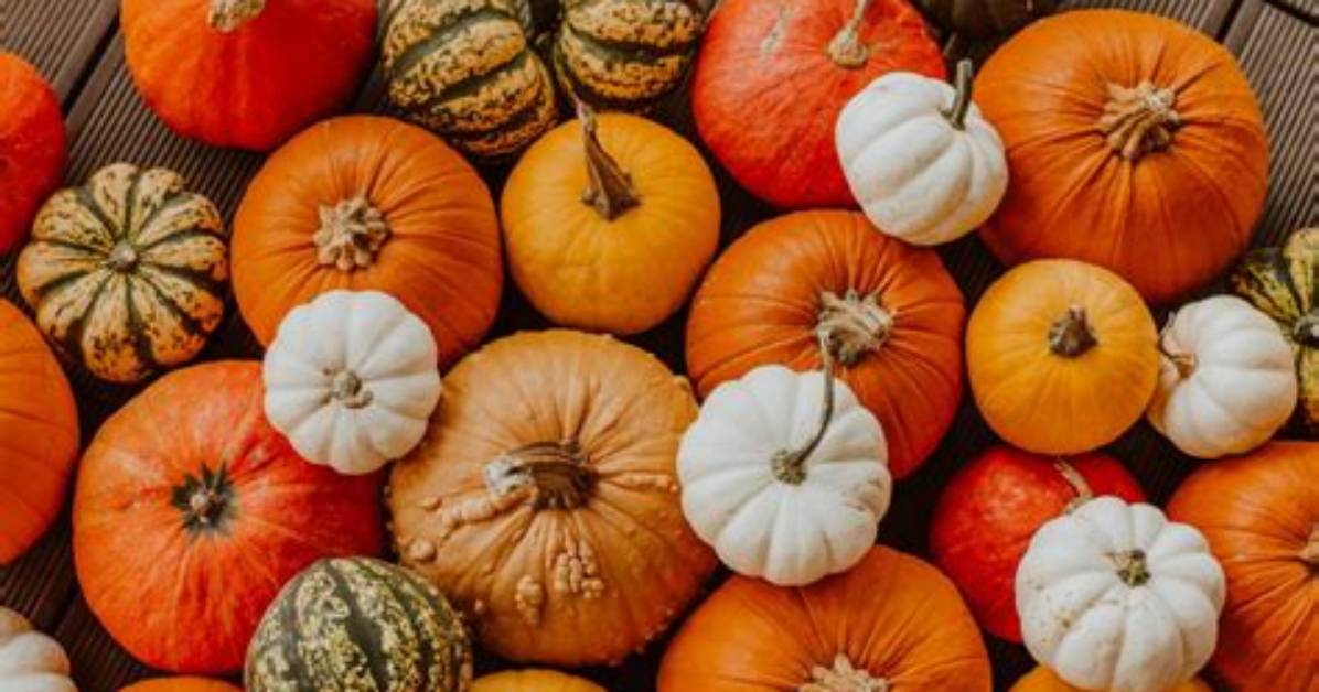 Can You Eat Casper Pumpkins