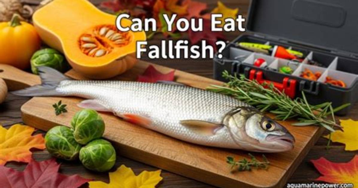 Can You Eat Fallfish?