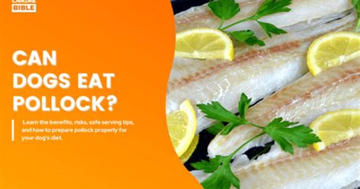 Can You Eat Pollock? | Contextresponse. Com
