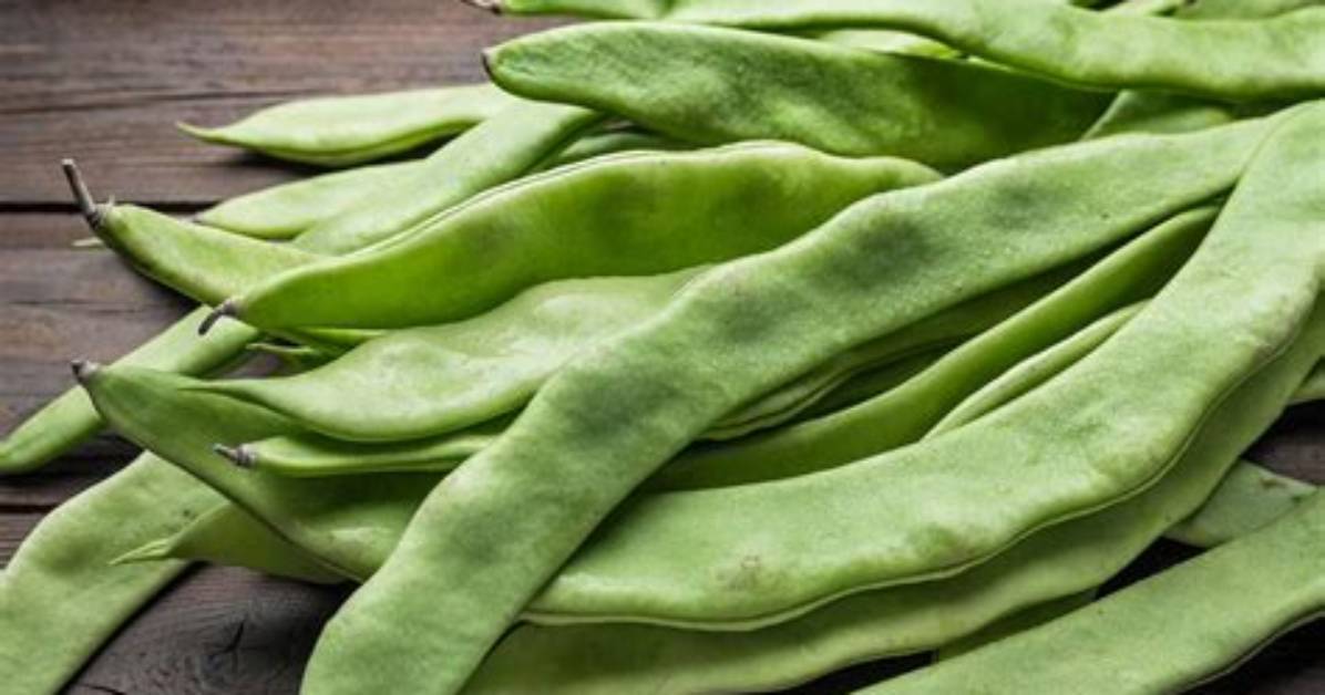 Can You Eat Runner Beans Beans