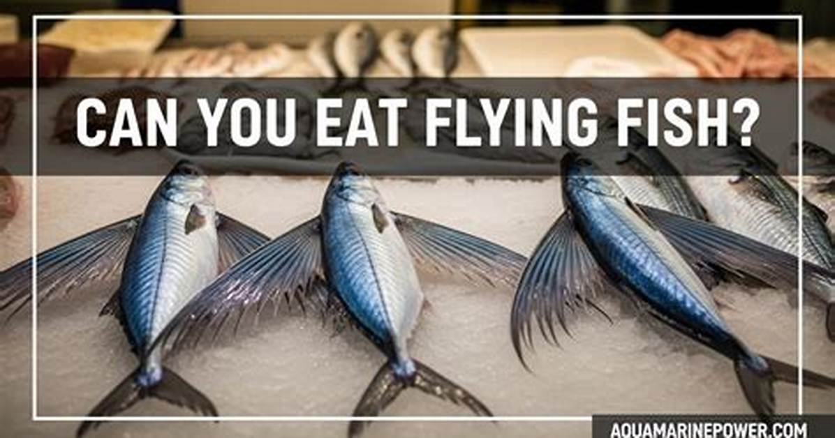 Can You Fish at Kickapoo?