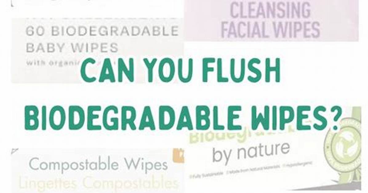 Can You Flush Biodegradable Wipes?