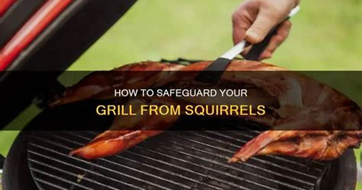 Can You Grill Squirrel