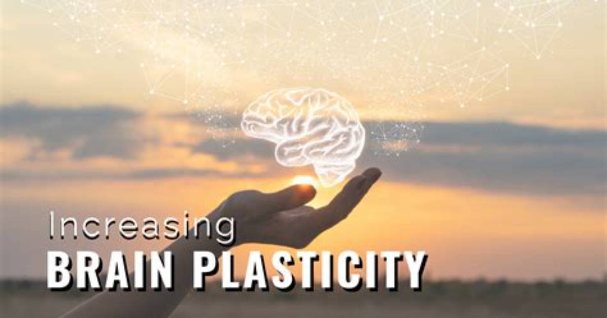 Can You Increase Brain Plasticity?