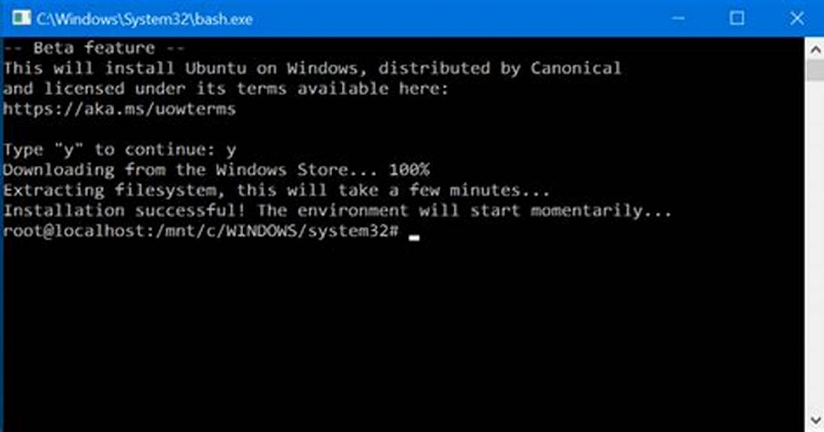 Can You Install Bash on Windows 10?