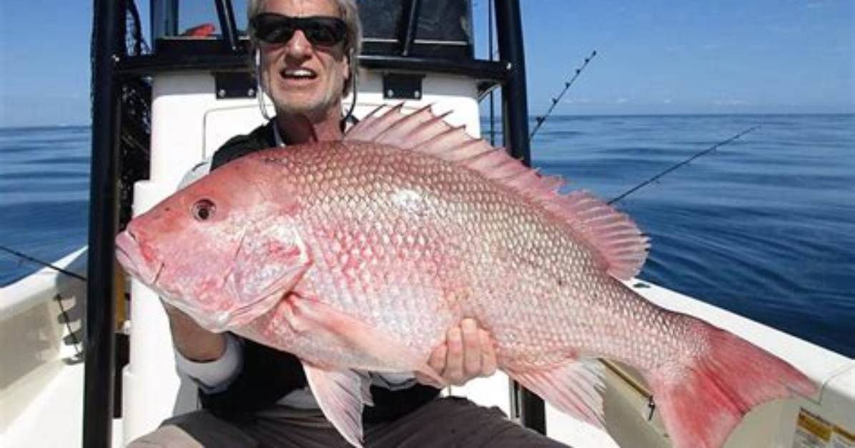 Can You Keep Red Snapper in Florida Atlantic