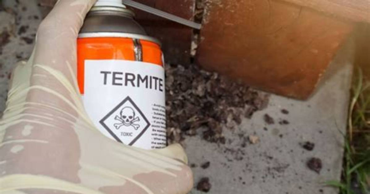Can You Kill Termites with Bug Spray
