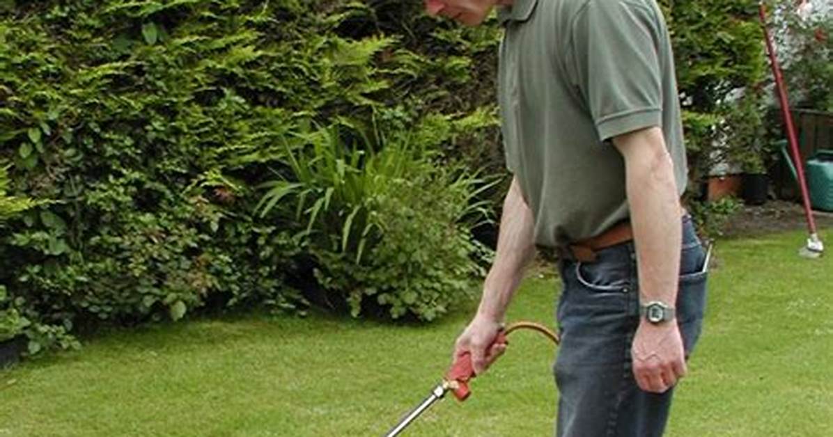 Can You Kill Weeds with a Blowtorch