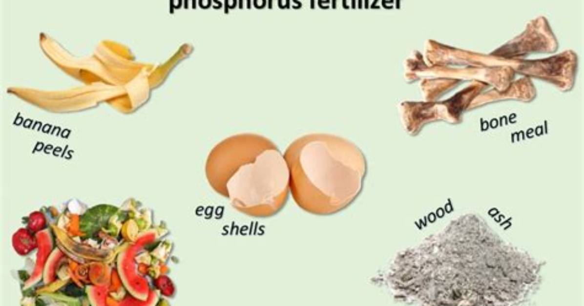 Can You Make Phosphorus?