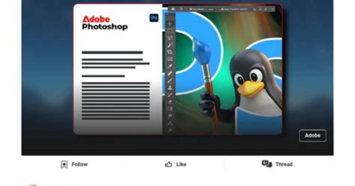 Can You Run Adobe Cc on Linux?