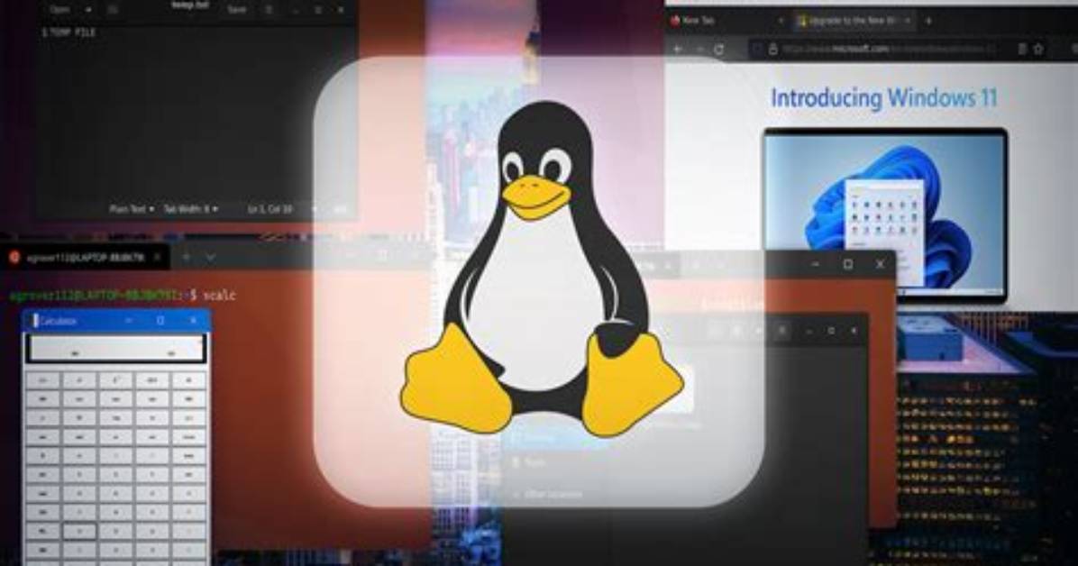 Can You Run Linux on Bootcamp?