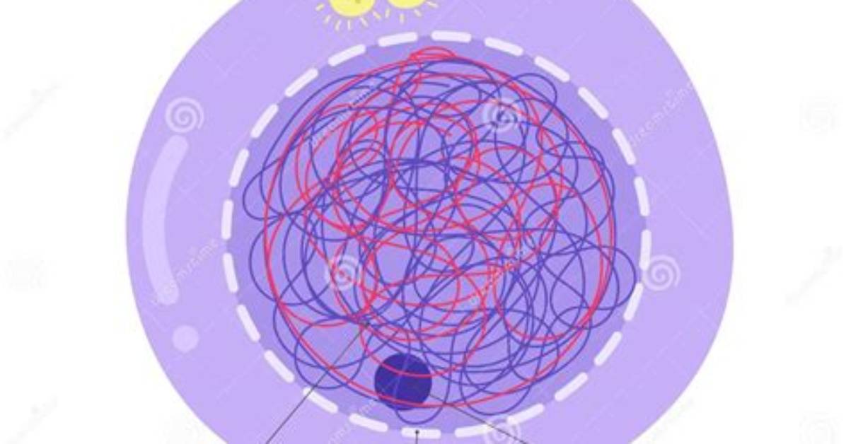 Can You See Chromosomes During Interphase
