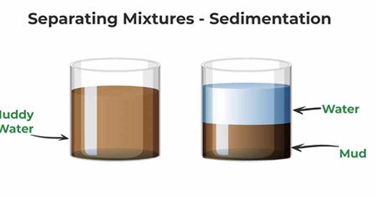 Can You Separate a Mixture?