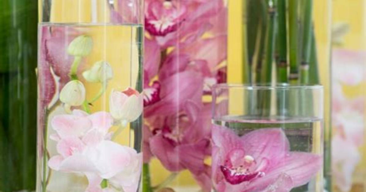 Can You Submerge Roses in Water