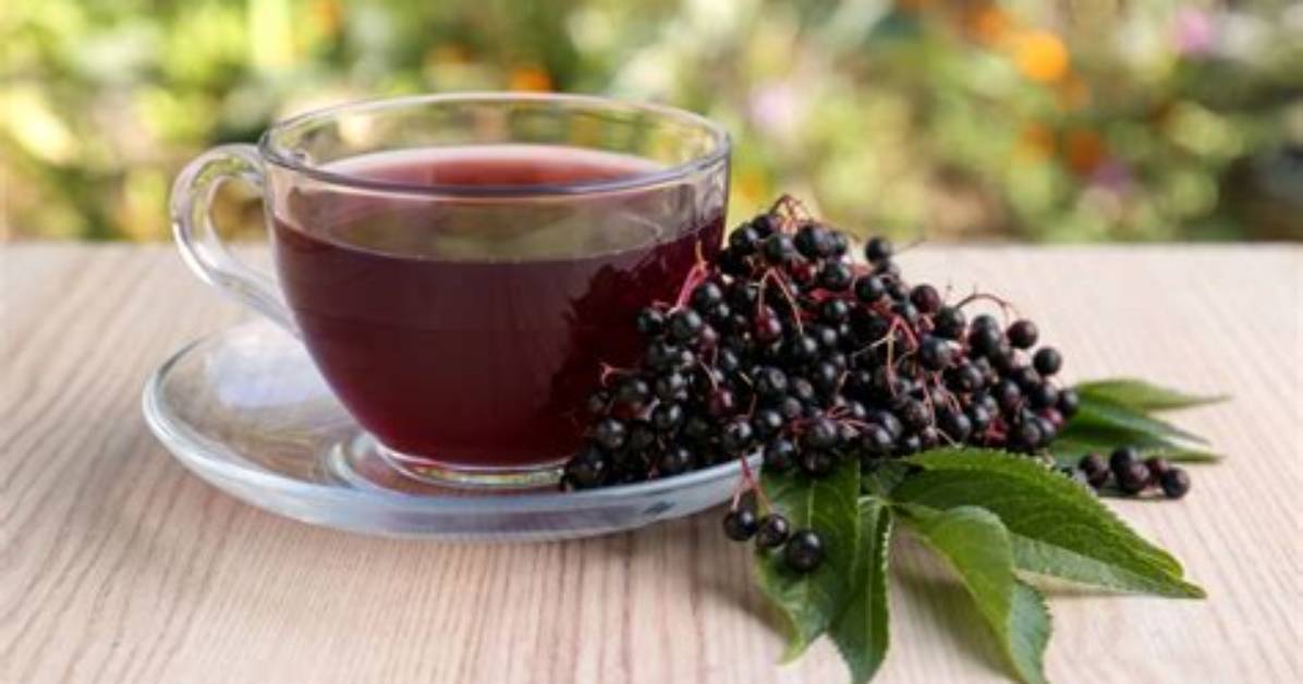 Can You Take Elderberry Daily?