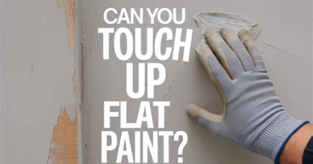 Can You Touch up Plaster