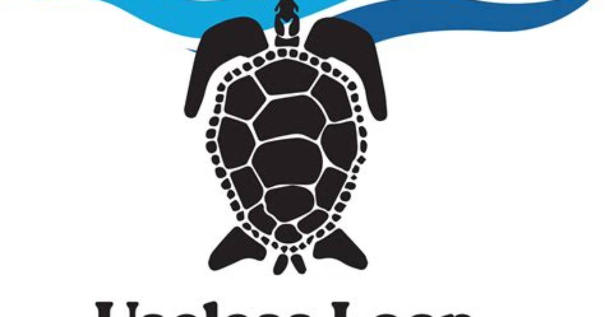 Can You Visit Useless Loop?