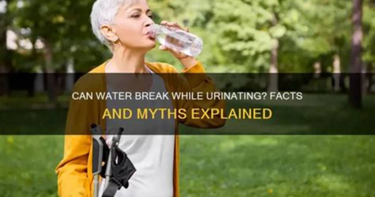 Can Your Water Break While Peeing?