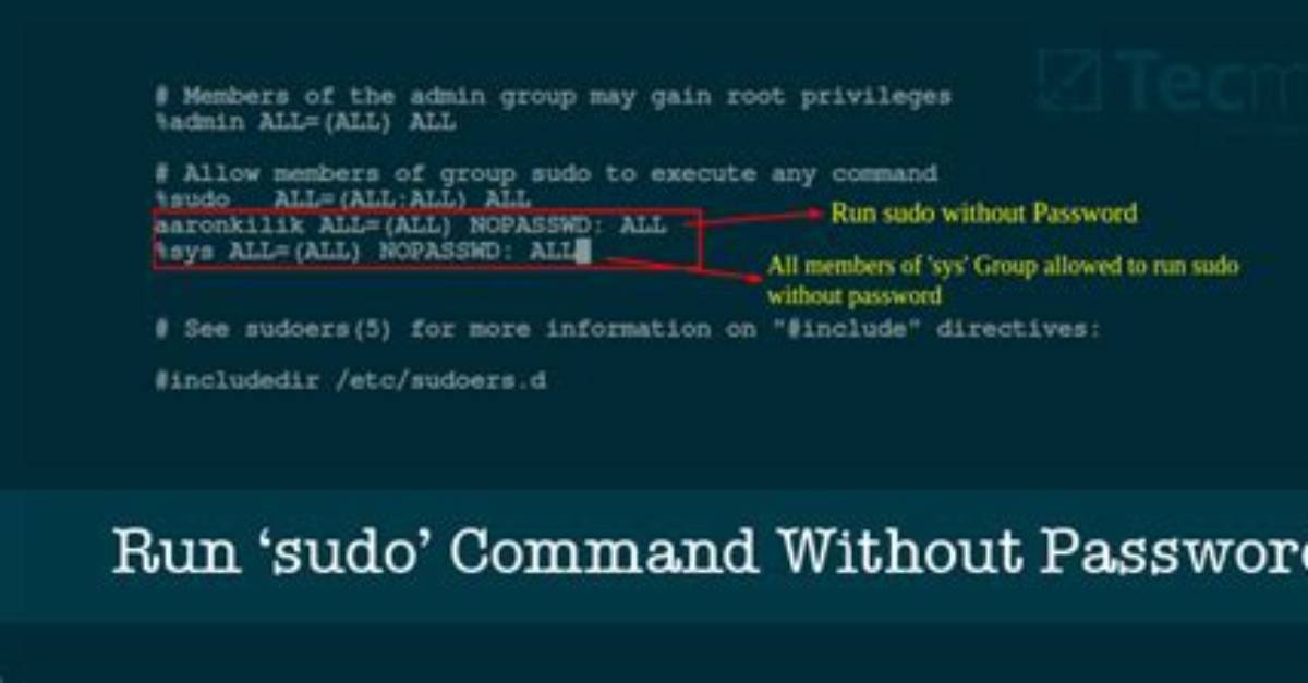 Cannot Run Any Sudo Command