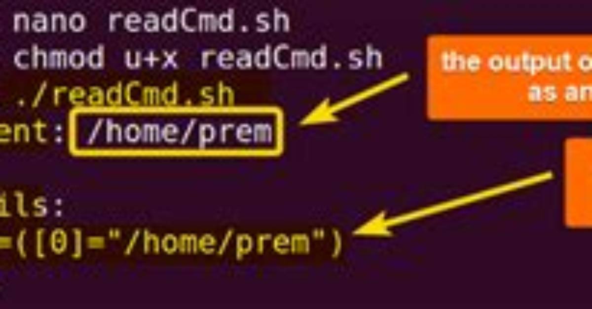 Capture Multiline Output as Array in Bash [Duplicate]