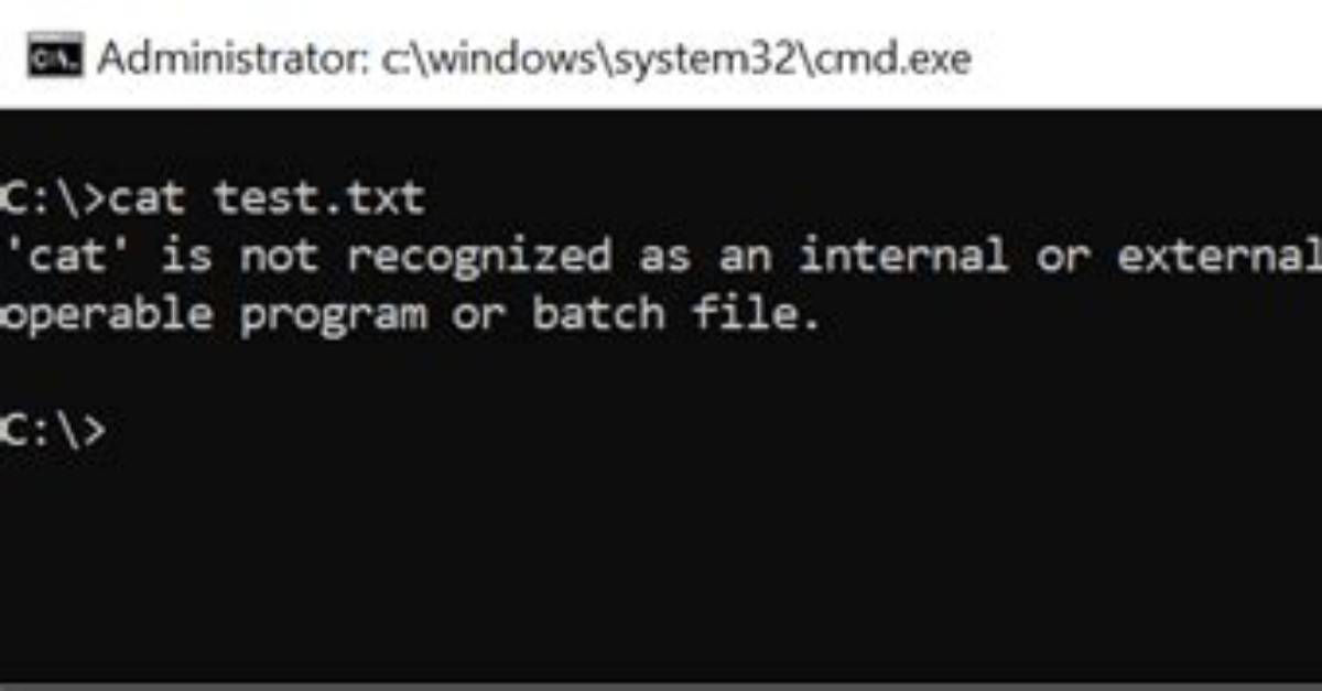Cat Command Equivalent in Windows for Angular Build Process