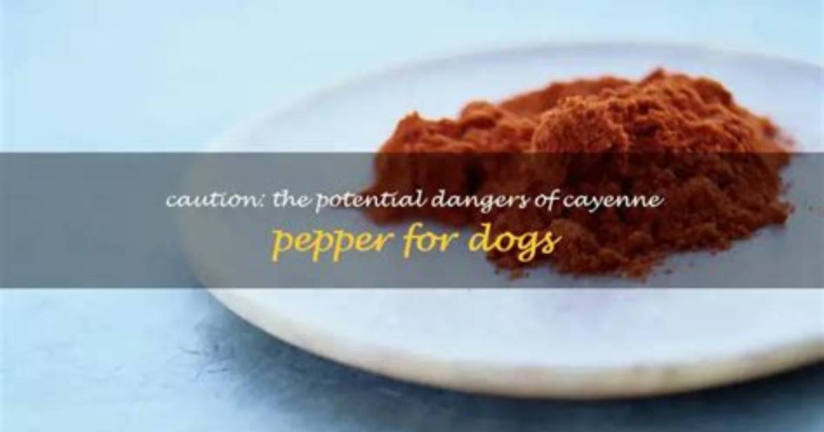 Cayenne Pepper Dogs