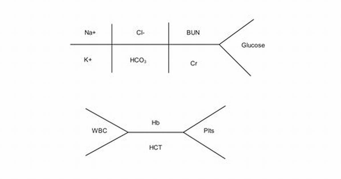 Cbc Fishbone — Printable Worksheet