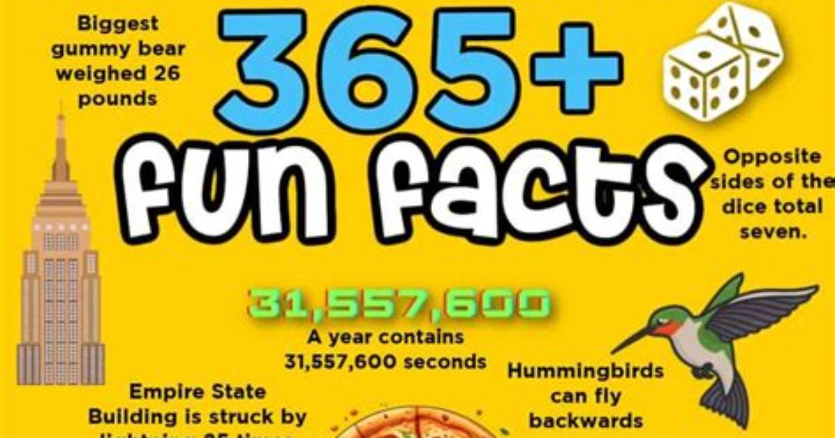 Check out All the Interesting Trivia