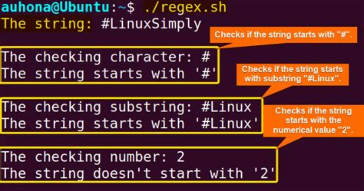 Checking Whether a String Starts with Xxxx