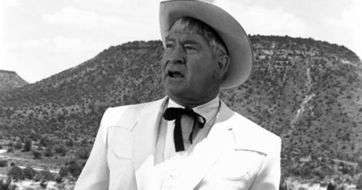Chill Wills Net Worth