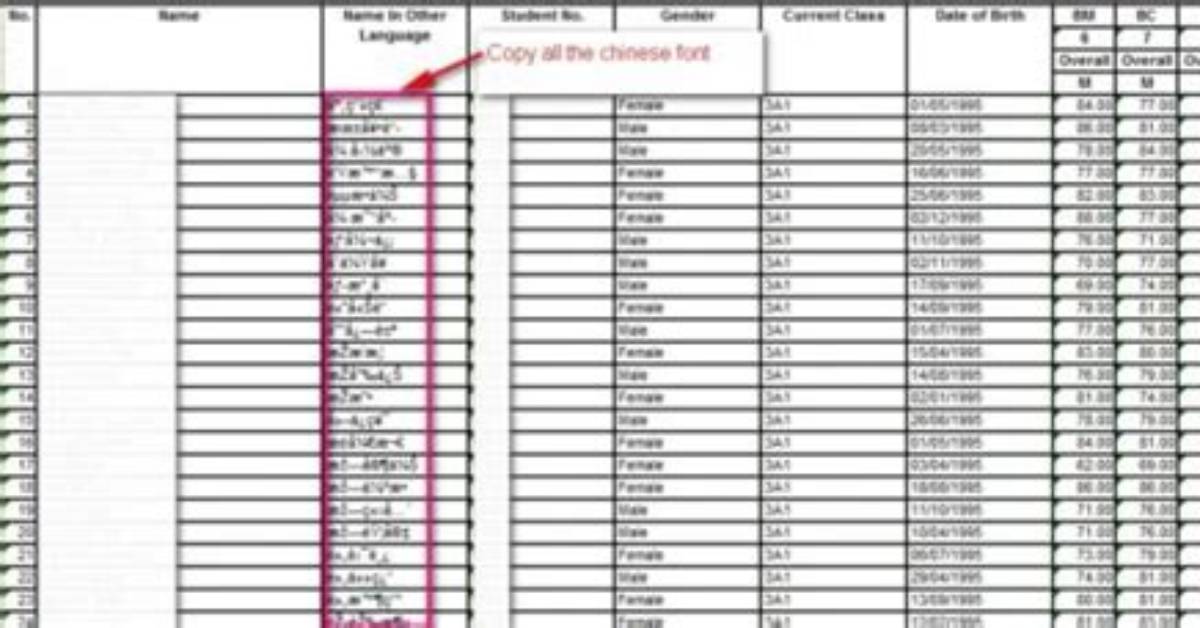 Chinese Characters in Excel