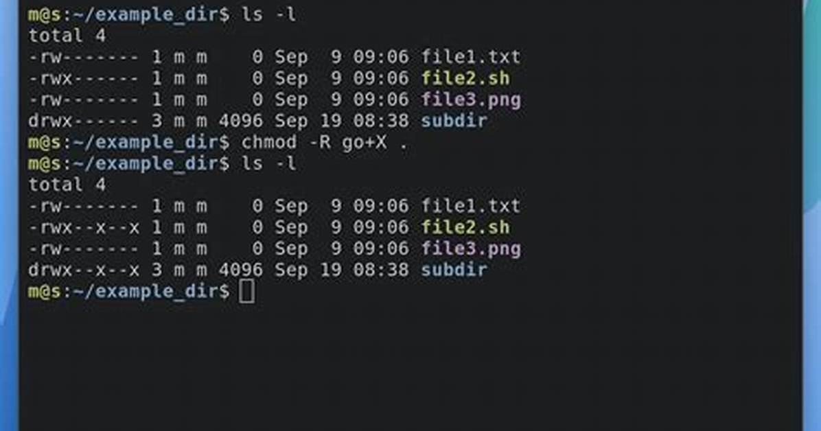 Chmod Rx Invalid