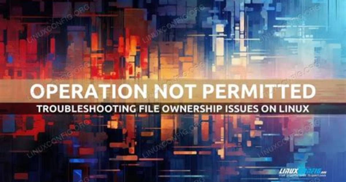 Chown Operation Not Permitted