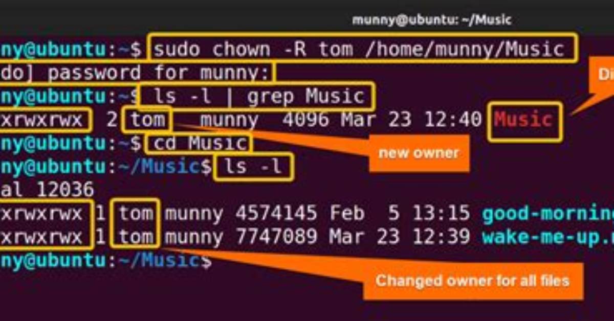 Chown Recursively Changed Permissions