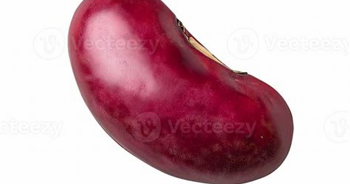 Class Required a Single Bean, but 2 Were Found: