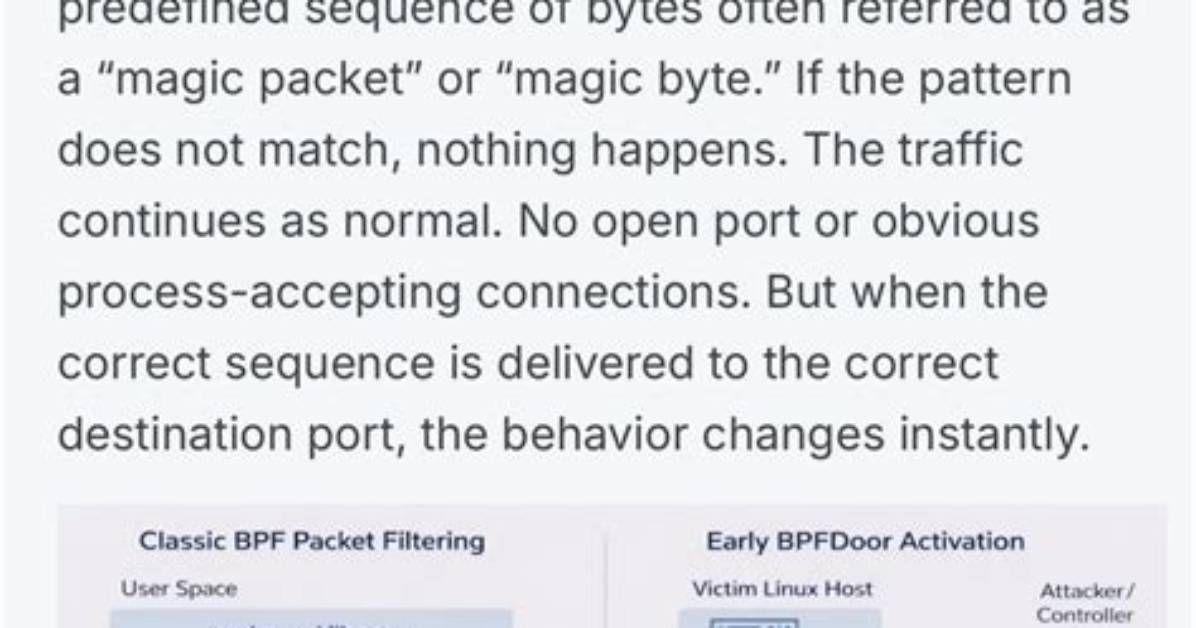 Classic Bpf on Linux: Filter Does Not Work