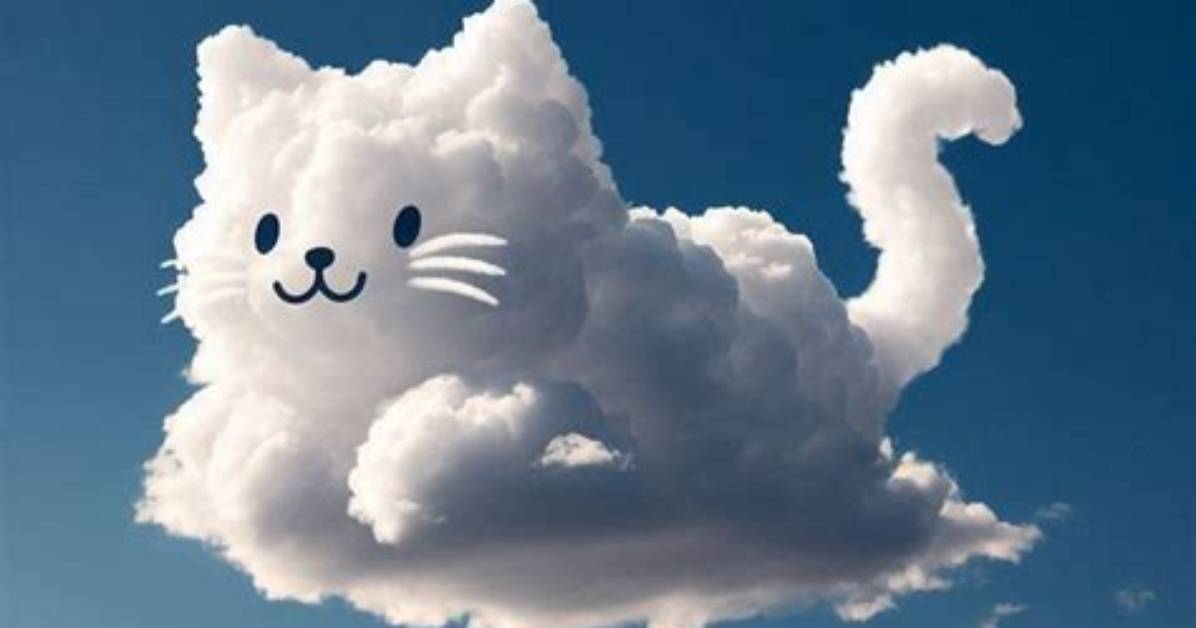 Cloud the Cat