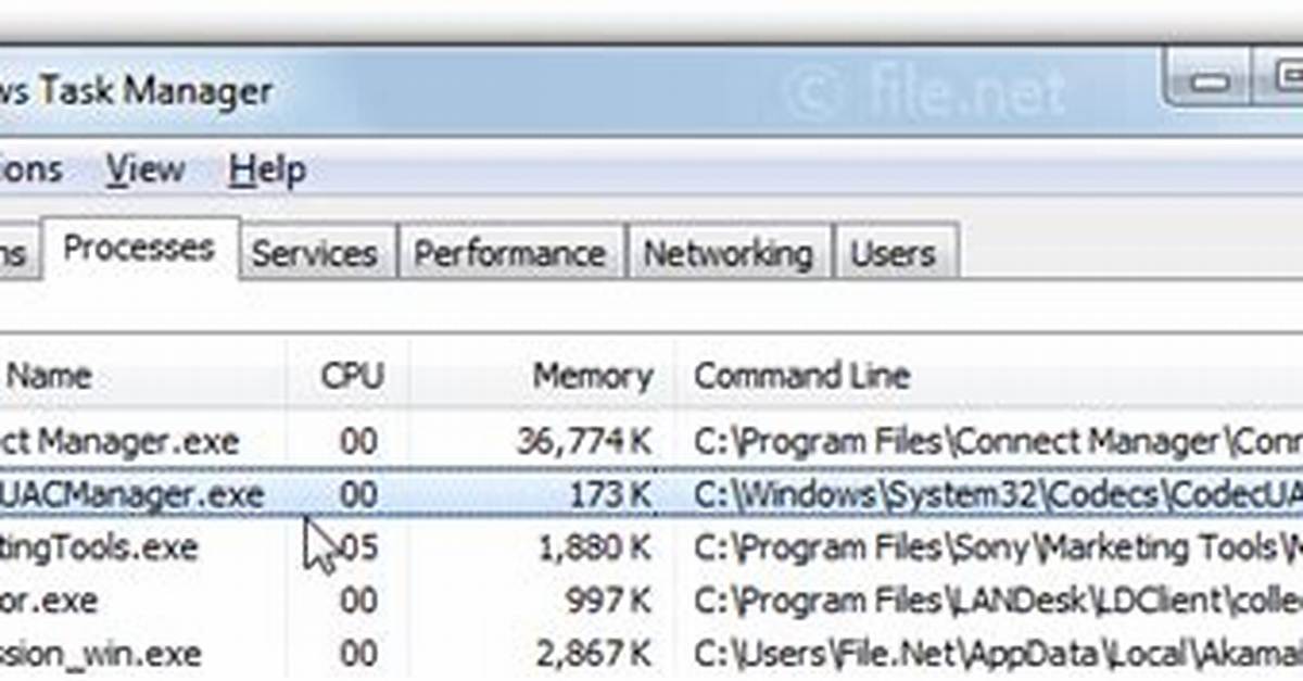 Codecuacmanager. Exe Windows Process – What Is It?