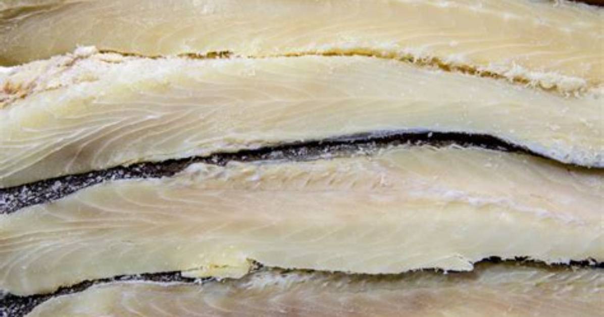 Codfish Net Worth